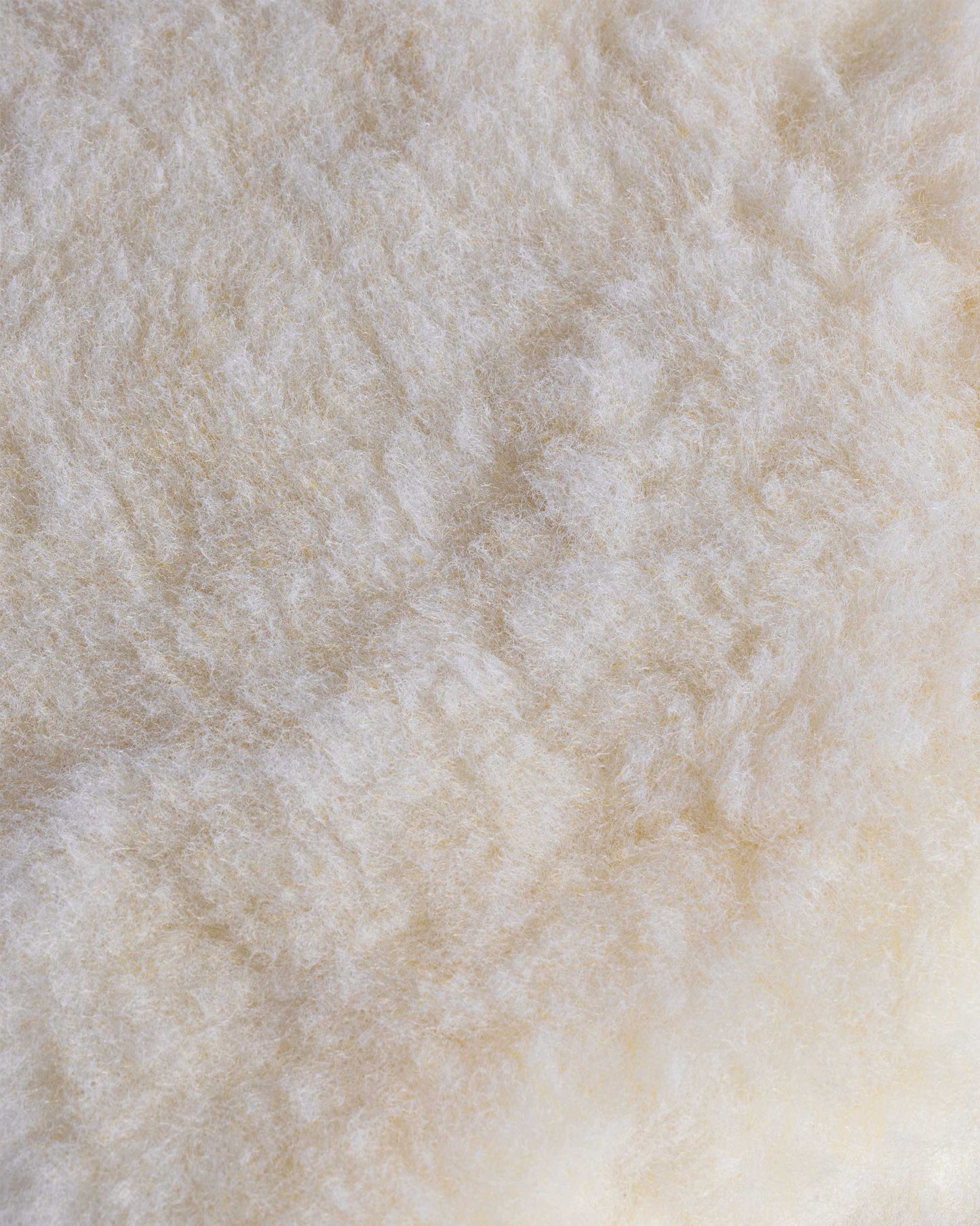 Car Wash Shampoo Pad Combo